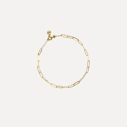 Mesh Anklet