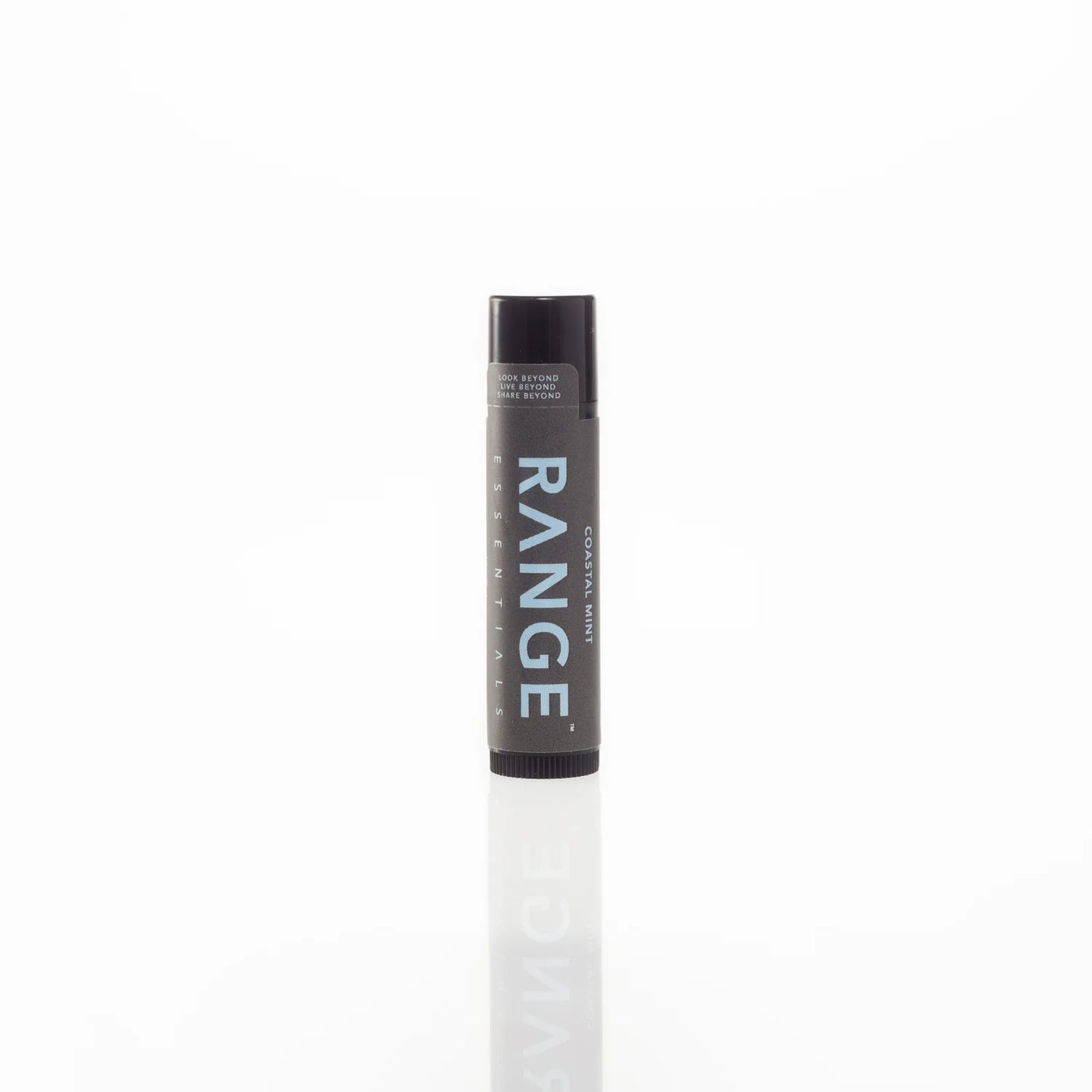 COASTAL MINT LIP BALM