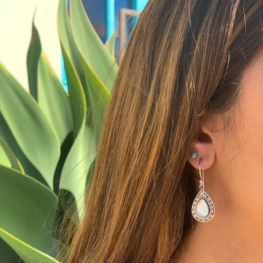 Evanne Shell Earrings